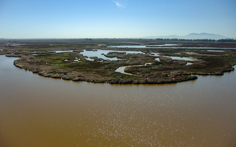 CalChamber Backs Bay-Delta Plan Update that Prevents Reduced Water Supplies