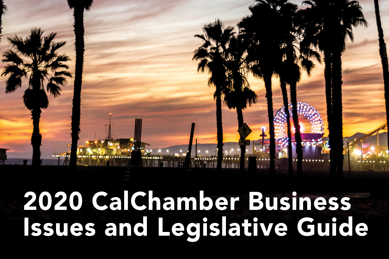 2020 Issues Guide Available On Website - CalChamber Alert