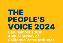 The People’s Voice: Annual Poll Outlines Priorities for New Legislature